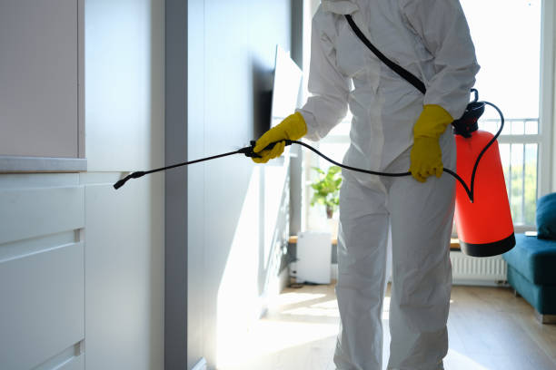 Best Mold Remediation Services  in Killen, AL